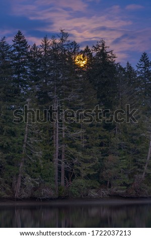 Full Moon Rising Over Puget Sound North of Mud Bay Along Eld Inlet