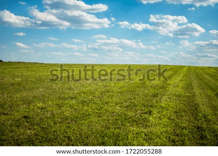 Summer photo of the field of Csömör 