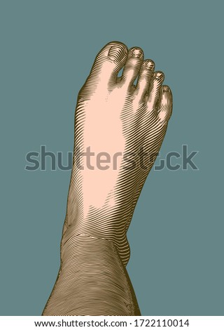 Color vintage engraved drawing abstract human right foot vector illustration top point of view isolated on sage green background retro woodcut style