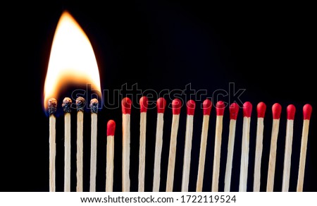matchsticks on fire in row of burning is sequence while one match stay down from burning to avoid fire connecting against black background, social stop pandemic concept. Royalty-Free Stock Photo #1722119524