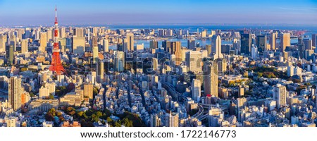 Japan. Panorama of Tokyo from afar. The streets of Tokyo bird's eye view. Japan on a summer day. Japan building. Japanese city view from a drone. Architecture. Tokyo urban