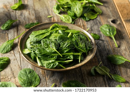 Raw Organic Fresh Baby Spinach in a Bowl Royalty-Free Stock Photo #1722170953