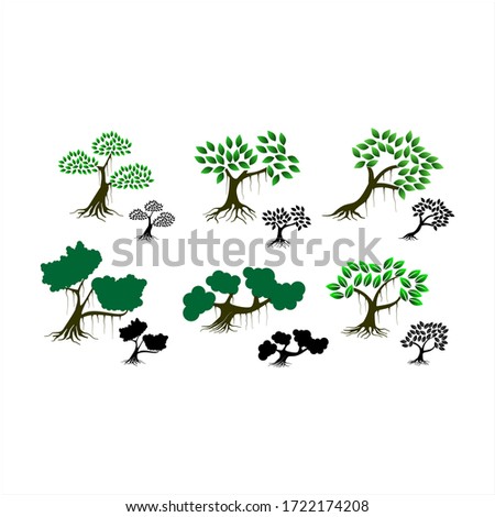mangrove tree vector illustration with colors eps 10