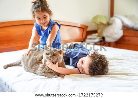 Play Time. Young boy and girl playing with cat on a bed in home.
