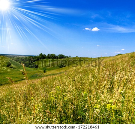 Green landscape hills on a sunny summer day