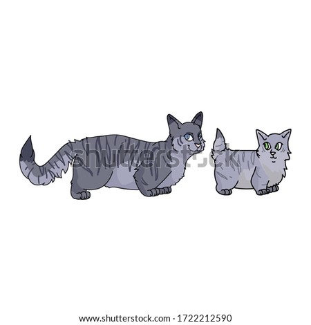 Cute cartoon munchkin cat set vector clipart. Pedigree kitty breed for cat lovers. Purebred grey domestic kitten for pet parlor illustration mascot. Isolated feline housecat. EPS 10.