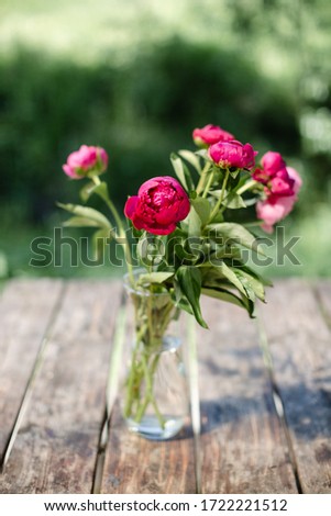 Peony flowers in a vase on a green background