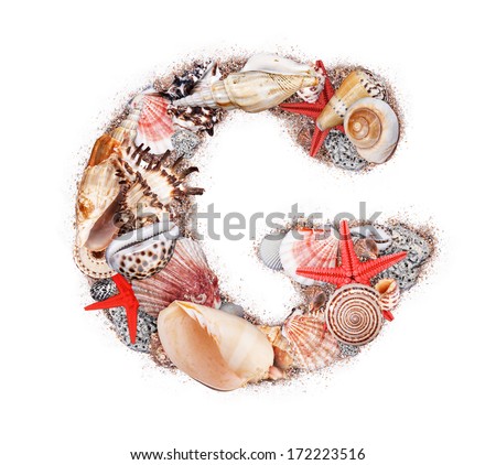 Letter G made of seashell isolated on white background