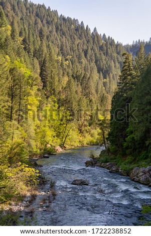 North Fork of the Yuba River in the Spring in the Tahoe National Forest in the Sierra Nevada Mountains in Nevada County, California

