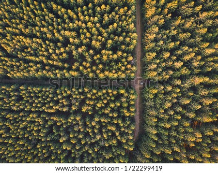 Aerial Shot of the Hills and Woods of the "Sauerland" near "Winterberg", Germany