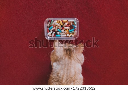 Giving Pills to Cats, Pilling Your pet. How-to give a cat a pill tutorial. Cat and many pills on a red background. Prevention and Treatment For Pet Disease.  Royalty-Free Stock Photo #1722313612