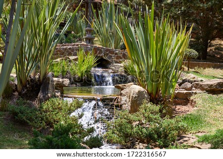 Zen garden with lakes and rivers. beautiful view in a forest. Mazamitla, Mexico Royalty-Free Stock Photo #1722316567