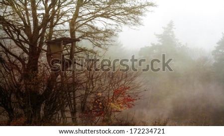 Amazing December Landscape. Lovely Nature Picture of the European Countryside in Winter Bavaria, Germany. Spooky and Creepy Atmosphere.