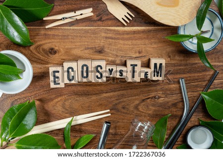 The wooden brick with words " ECO SYSTEM " on wooden background. ECO concept with recycling symbol and leaves.