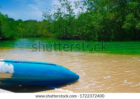 August 2019 : The boat is near turquoise water and mangrove forest at Ao Mea Mai Koh Phayam Island, Ranong province, Thailand.