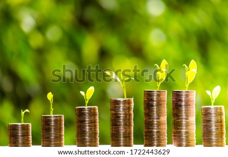 Business Finance and Money concept,Save money for prepare in the future.tree growing on coin of stacking gold coins with green bokeh background