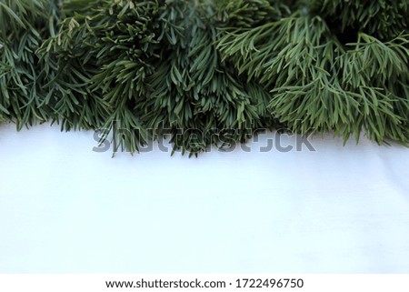 Dill frame isolated on white with place for text. Fresh greens, green salad and healthy nutrition. Different types of fresh garden herbs isolated on a white background