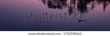 Nature banner. Aerial, after sunset view of silhouette of small isolated island with swan, reflecting in water against colorful orange sunset. Orange and violet colors. Tranquil spring nature.
