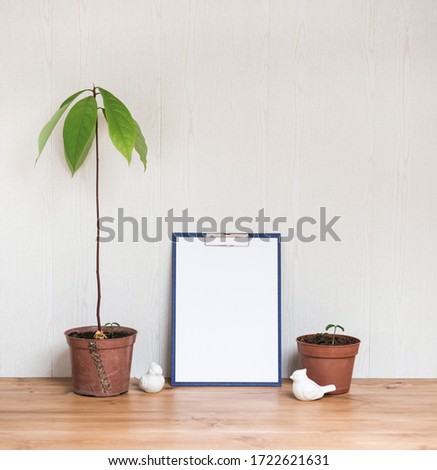 Interior Design Desktop. Clipboard with Blank A4 Paper Mock up and House Plants. Stylish Minimal Home Decor