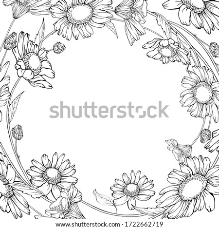 Black and white floral frame with outline flowers chamomile or daisy and leaves on white background. Copy space. Hand drawn for design, greeting card, invitations. Vector stock illustration.