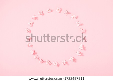 Minimal flowers composition. Pink flower on pastel pink background. Spring background. Flat lay, top view, copy space