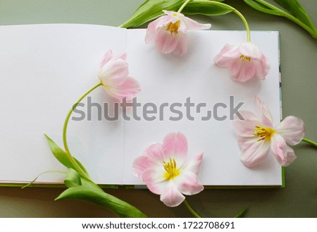 Wreath circle frame of rose tulips on a white sheets in the open sketchbook or album on a green summer gentle background, sophisticated and elegance  photography wallpaper