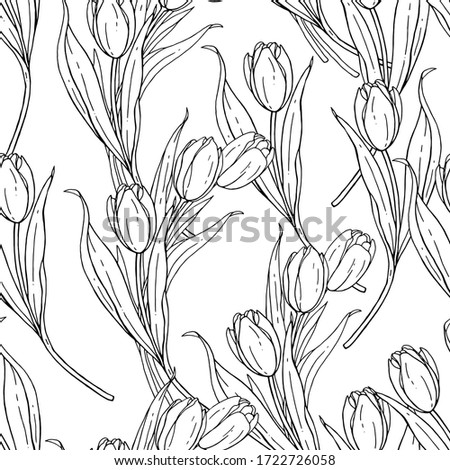 Bouquet of tulips isolated on a white background. Handwork vector drawing. Flower seamless pattern for design