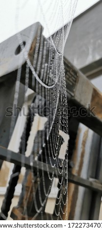 wet spider web on the iron construction