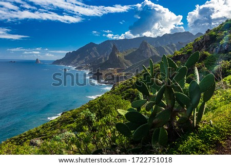 Hiking from Taganana along the trail through the Anaga mountains to Afur in north Tenerife Canary Islands during February Royalty-Free Stock Photo #1722751018