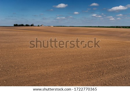 wheat field in spring time Royalty-Free Stock Photo #1722770365