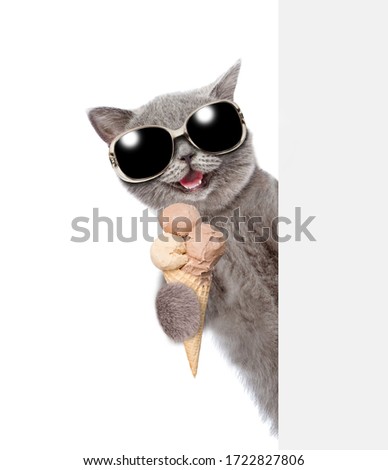Happy cat wearing sunglasses holds ice cream and looks from behind empty board. isolated on white background