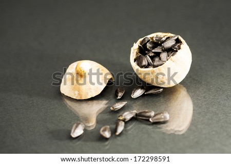 Sunflower seeds on wild plant dried fruit with black background