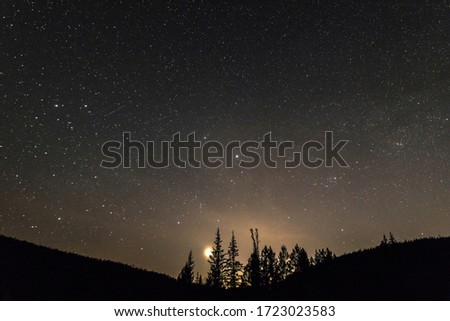 
Starry sky in the forest. Sunset of Venus.