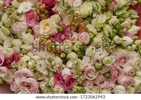 background texture of flowers. floral background