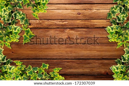 Background with ivy Royalty-Free Stock Photo #172307039