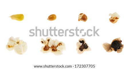 Roasting corn kernel into a popcorn isolated over white background, set of eight step images