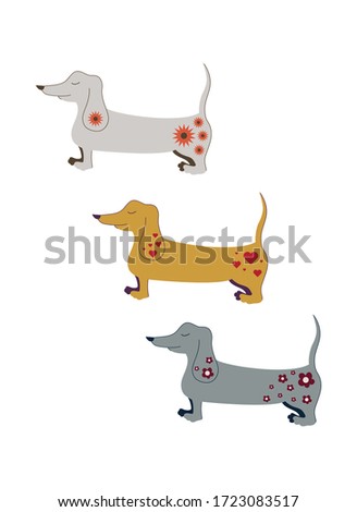 Set of three cute multi-colored dachshunds with various patterns (heart, flowers, stars) isolated on a white background. For the design of pet stores. For baby supplies. Vector illustration. Flat.