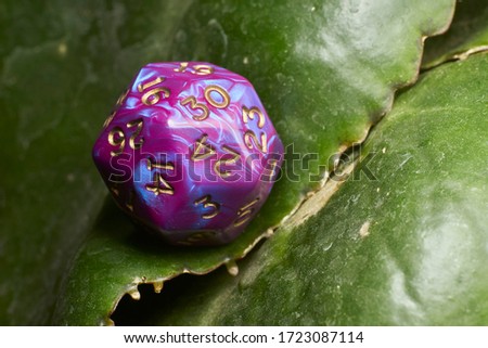          D30 D20 D12 D10 D8 D6 Gaming dices closeup on white background isolated  white background Leaves Dark Background cool Roleplaying Tabletop                 