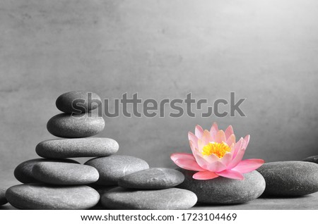 Stack of grey massage stones on grey background and lotus flower. Spa concept.