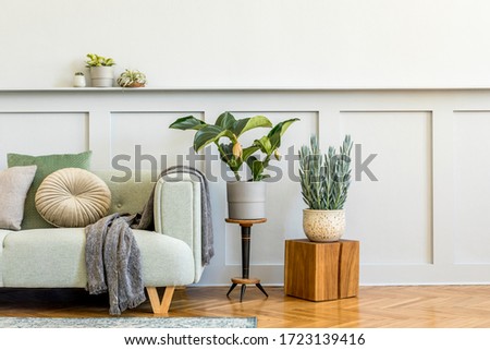 Minimalistic composition of living room with design sofa, plant, books, decoration, pillows, plaid, carpet, wood paneling and elegant persoanl accessories in stylish home decor. Copy space.