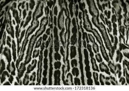 king cheetah skin pattern