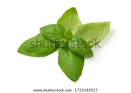 Fresh basil leaves, isolated on white background. Royalty-Free Stock Photo #1723183927