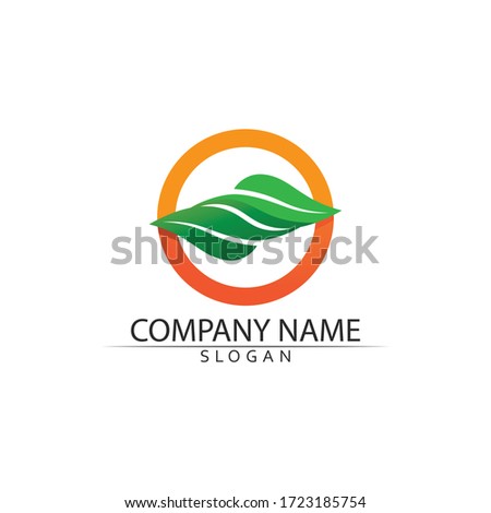 Tree leaf vector logo design, e green friendly concept.
