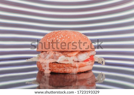 Beef Burger on a colored background