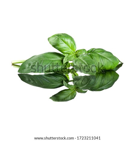 basil, kitchen herbs on white background with reflex Royalty-Free Stock Photo #1723211041