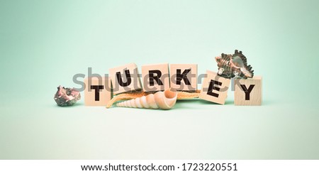 inscription Turkey on wooden blocks over starfish isolated on blue background summer vacation and travel concept