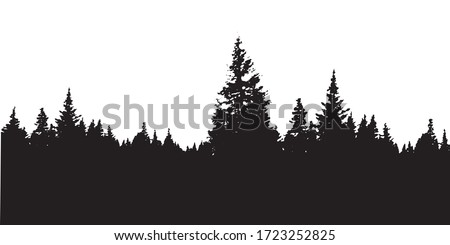 Forest silhouette background. View to realistic coniferous trees. Illustration of detailed Coniferous Forest silhouette.