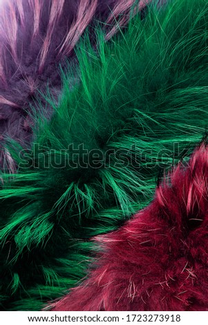 Texture of long-haired Arctic Fox fur, three colors-purple, emerald and Burgundy. Close up. Natural fur, dyed. Fur farming. Background, Wallpaper.