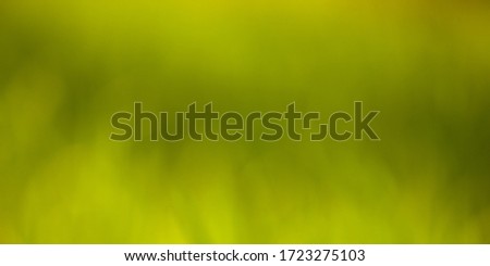 Abstract Green Leaf Nature Macro Photography