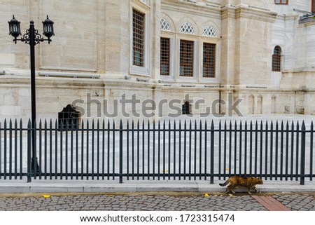 Fragment of the exterior of the Turkish mosque, metal fence, building facade, lamp post. Istanbul.